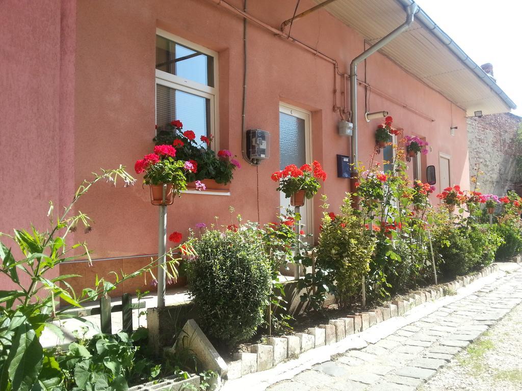 Center Park Apartment Cluj-Napoca Ngoại thất bức ảnh